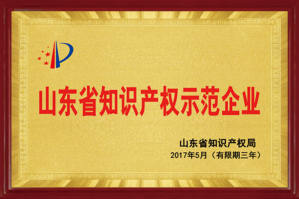 乐玩LEWIN节能荣获“2017年山东省知识产权示范企业”称号
