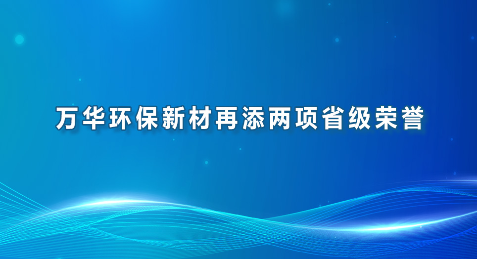 乐玩LEWIN环保新材再添两项省级荣誉