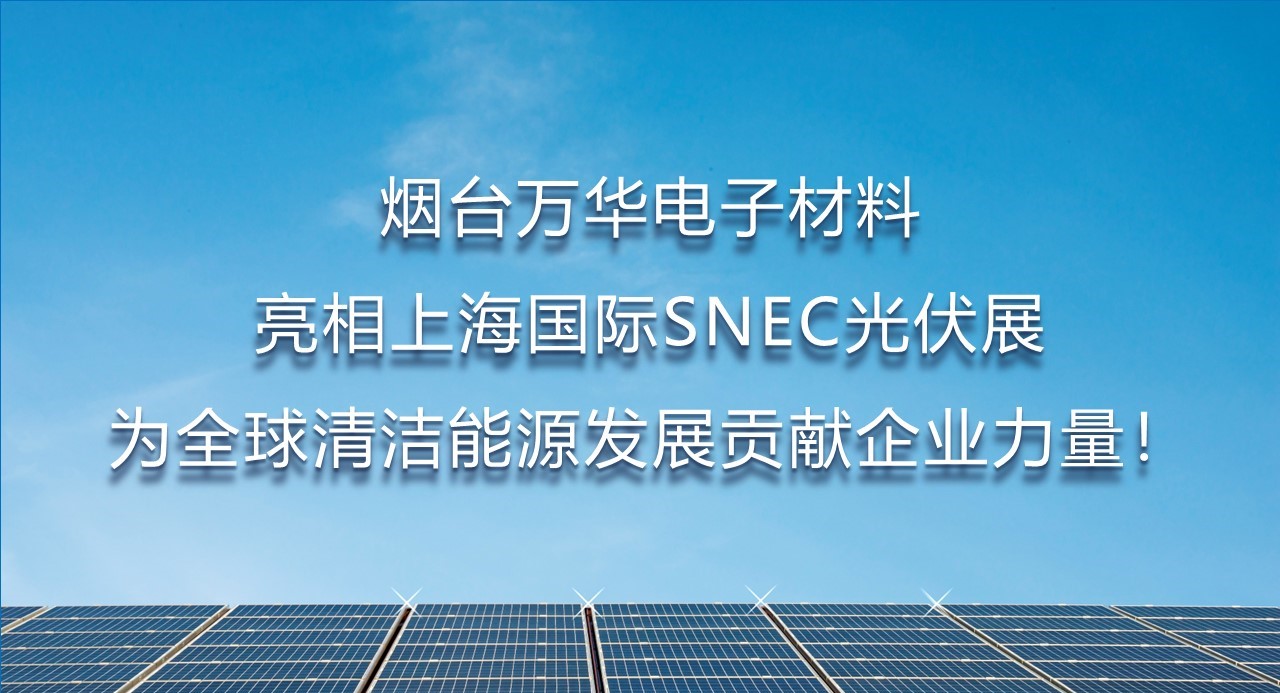 烟台乐玩LEWIN电子材料亮相上海国际SNEC光伏展，为全球清洁能源发展贡献企业力量！